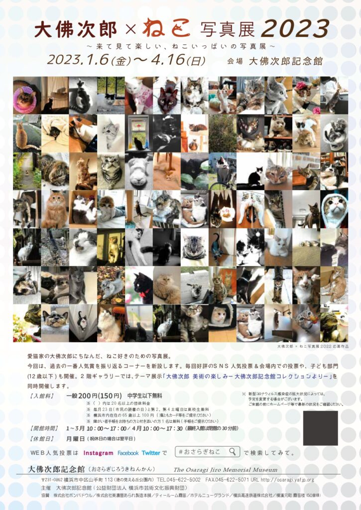 「大佛次郎×ねこ写真展2023」の画像