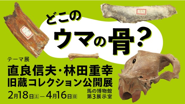 テーマ展「どこのウマの骨？ 直良信夫・林田重幸旧蔵コレクション公開展」の画像