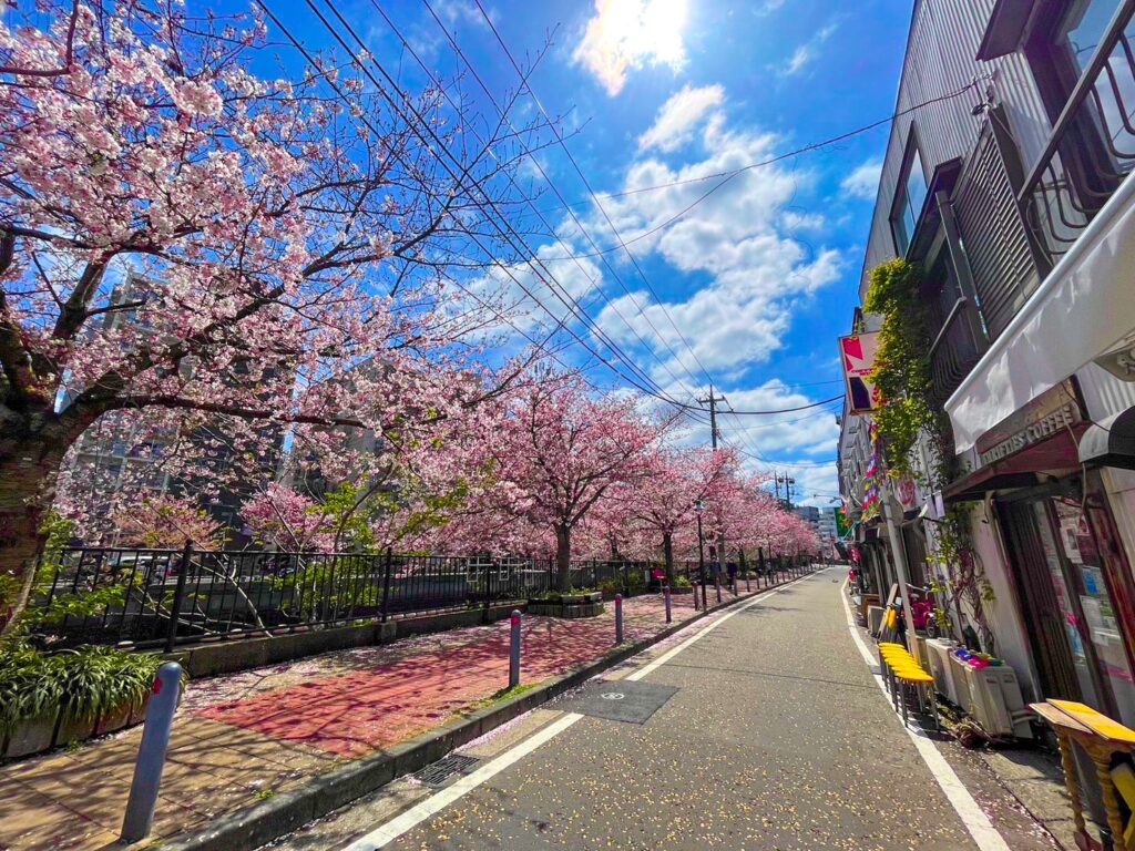 咲ク散ル 2023の画像