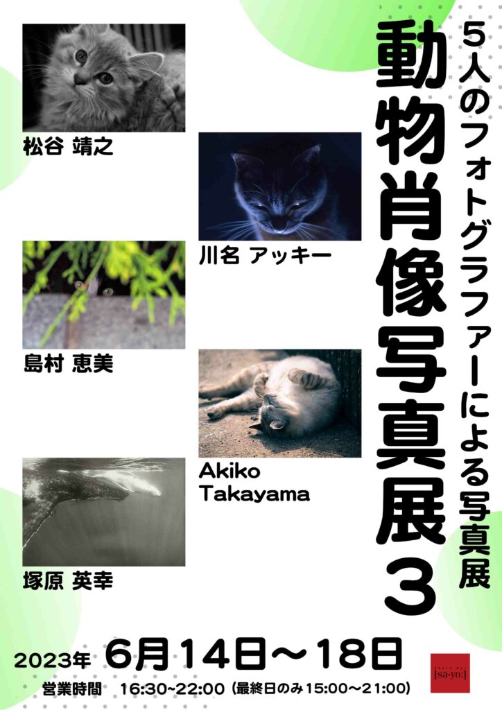 グループ写真展「動物肖像写真展3」の画像