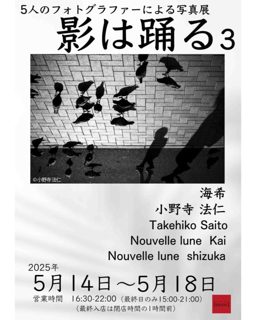 グループ写真展「影は踊る3」の画像