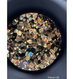 「海と科学の幽玄」展の画像