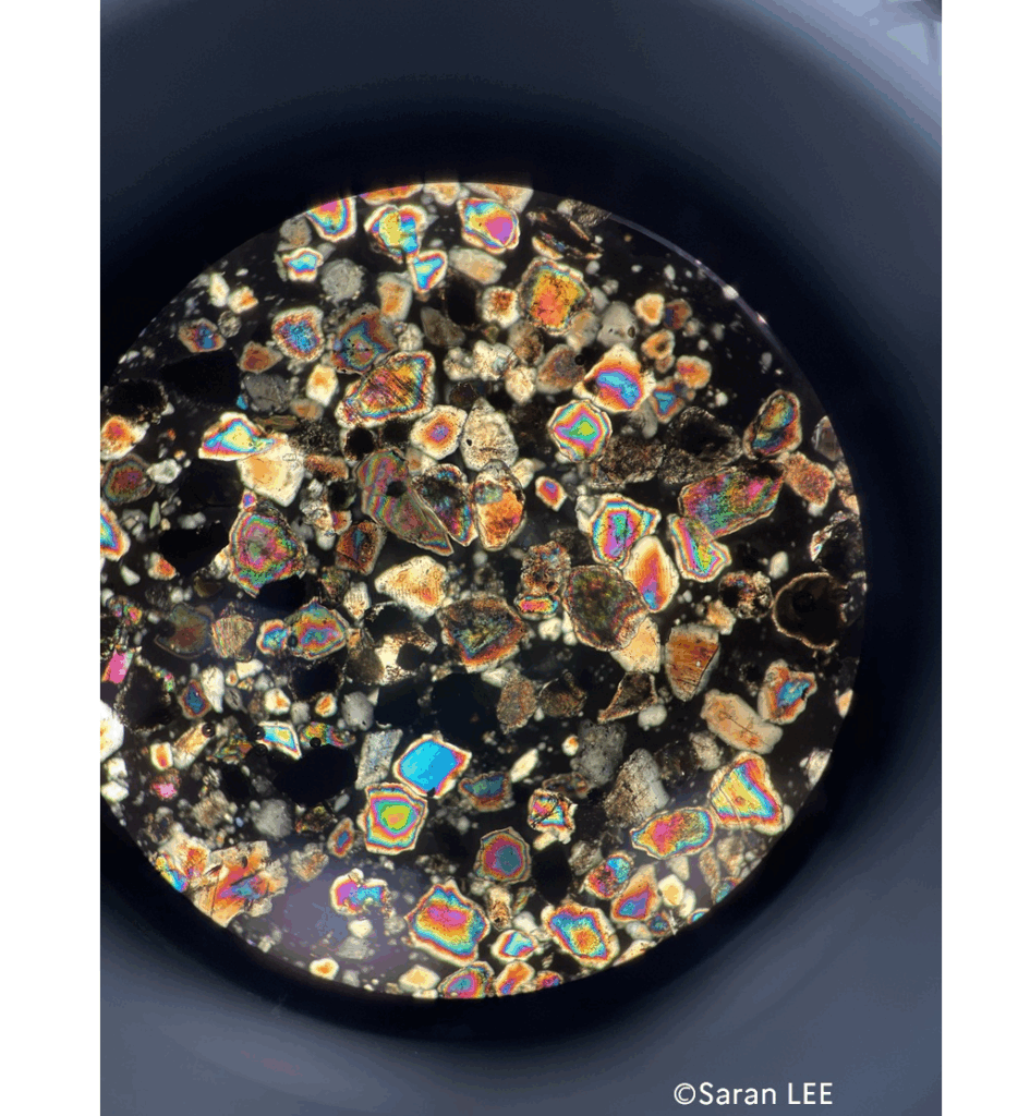 「海と科学の幽玄」展の画像