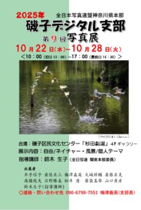 磯子デジタル支部 第9回写真展の画像
