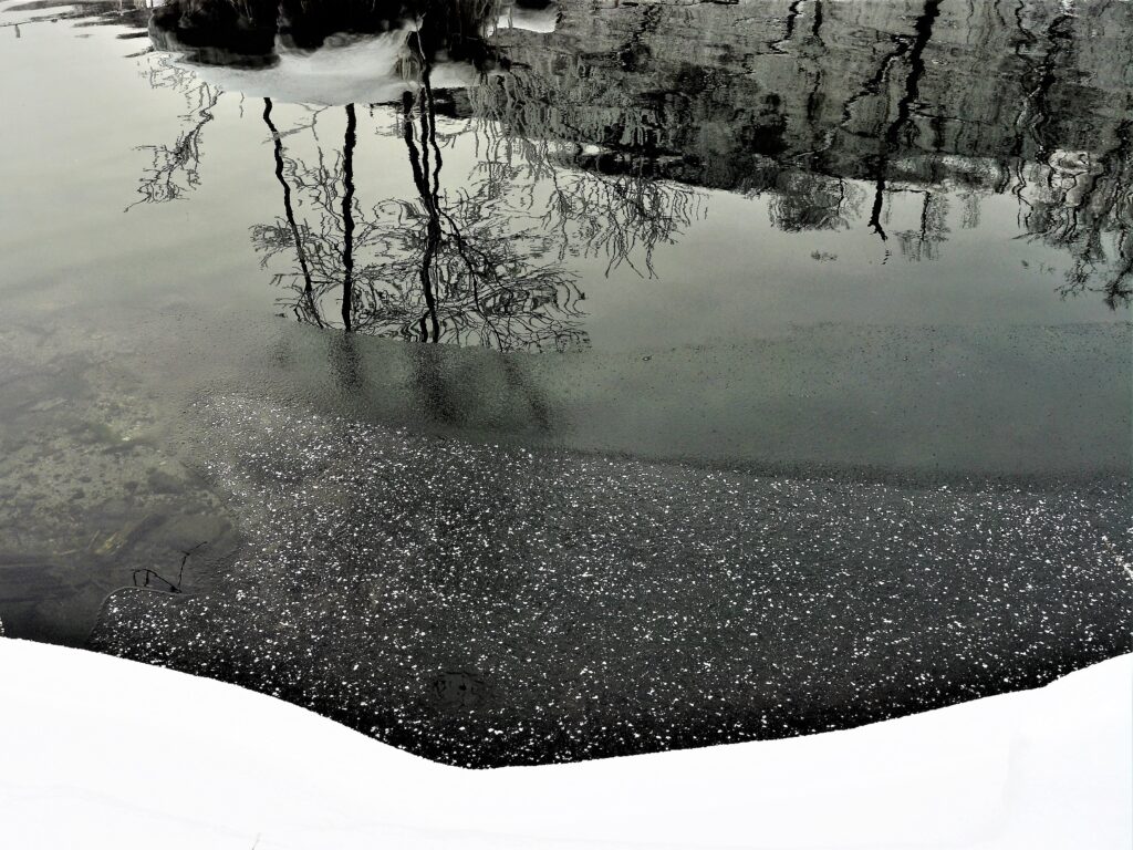佐藤武写真展 —-陰翳の世界 —-の画像