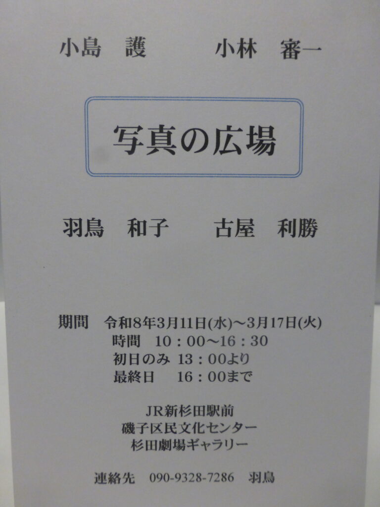 写真の広場の画像