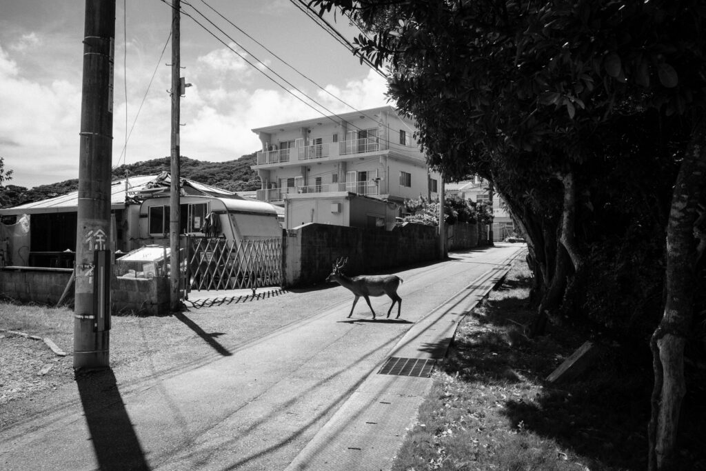 あざみ野フォト・アニュアル2026　上原沙也加　たとえすべての瓦礫が跡形もなくきれいに片付けられたとしてもの画像