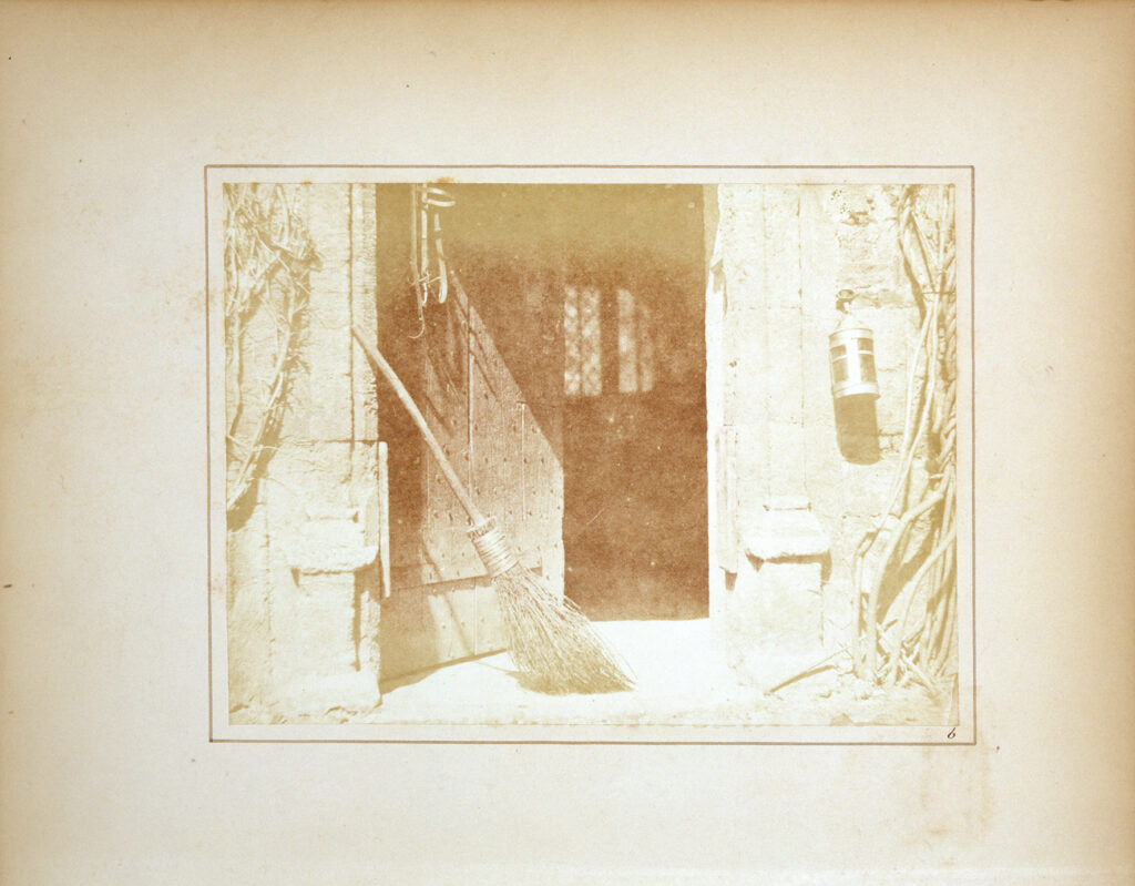 あざみ野フォト・アニュアル2026　開館20周年記念　横浜市所蔵カメラ・写真コレクション展　Mr.ネイラーの驚異の部屋の画像