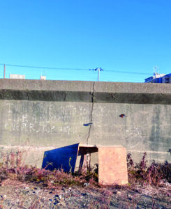 ショーケースギャラリー　濱田晋展の画像