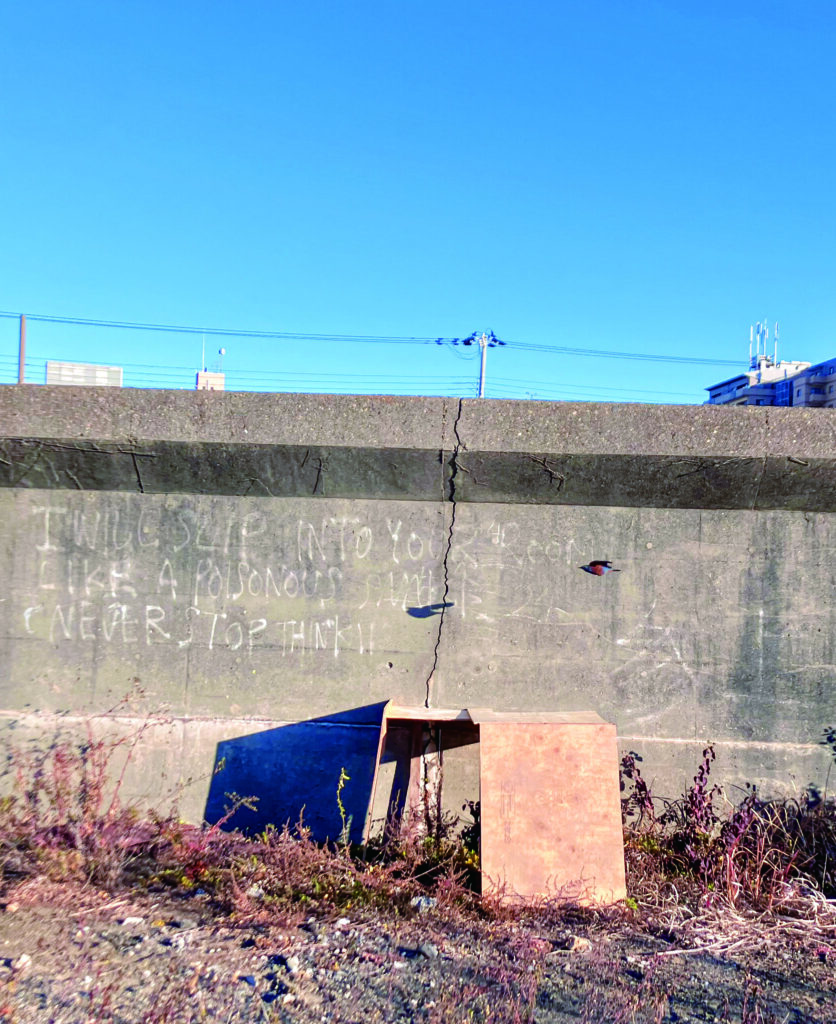 ショーケースギャラリー　濱田晋展の画像