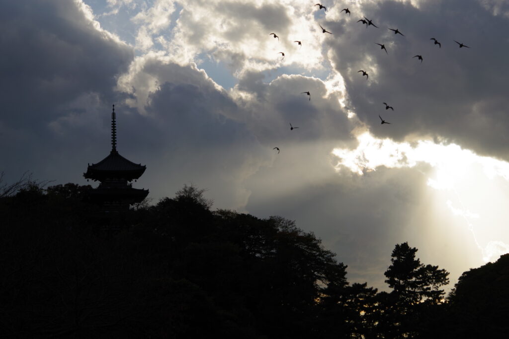 第35回 三溪園フォトコンテスト入賞作品展「季節の音」の画像