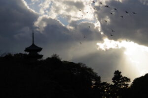 第35回 三溪園フォトコンテスト入賞作品展「季節の音」の画像