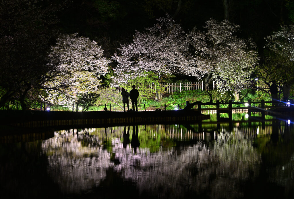 第35回 三溪園フォトコンテスト入賞作品展「季節の音」の画像