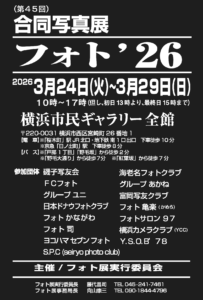 合同写真展 フォト’26の画像