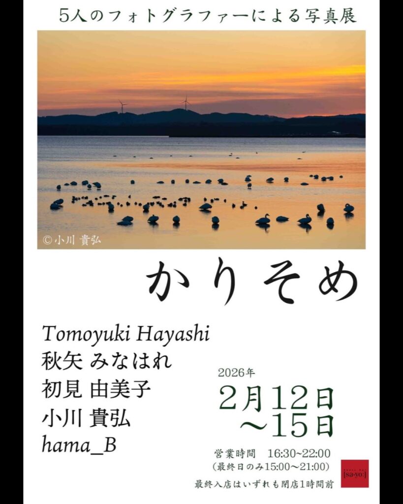 グループ写真展「かりそめ」の画像