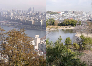 アーティストとひらく　鎌田友介展：ある想像力、ふたつの土地の画像