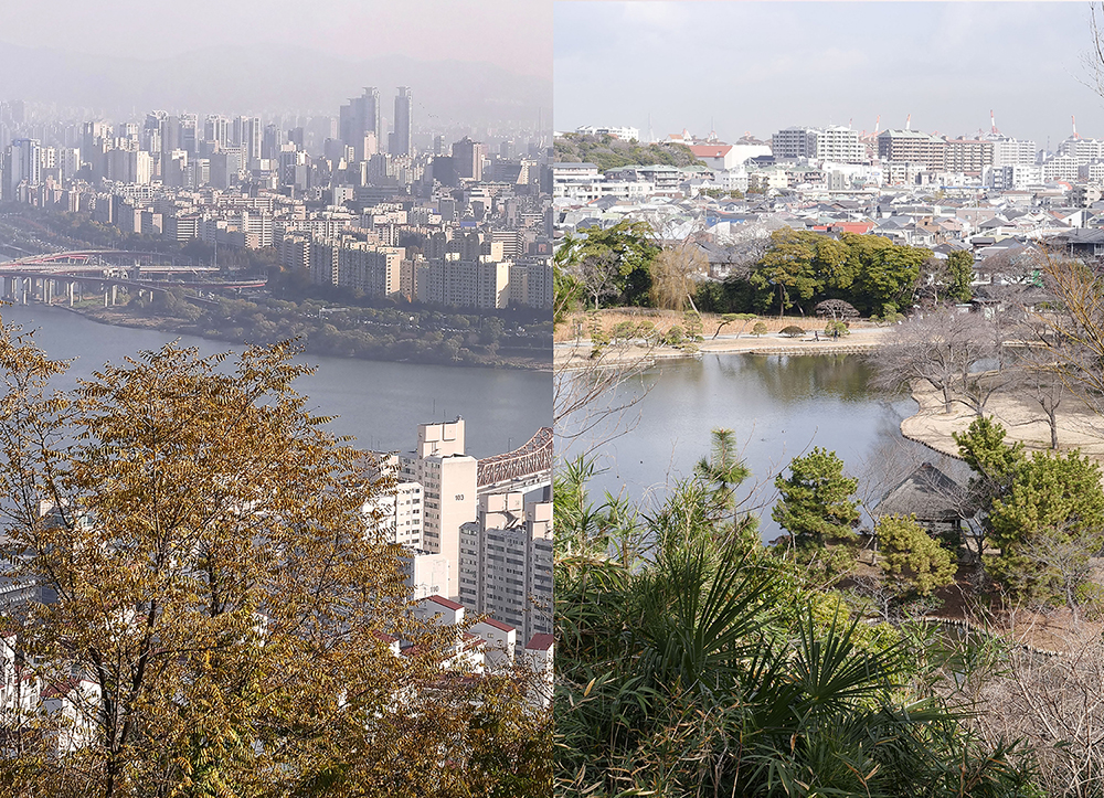 アーティストとひらく　鎌田友介展：ある想像力、ふたつの土地の画像