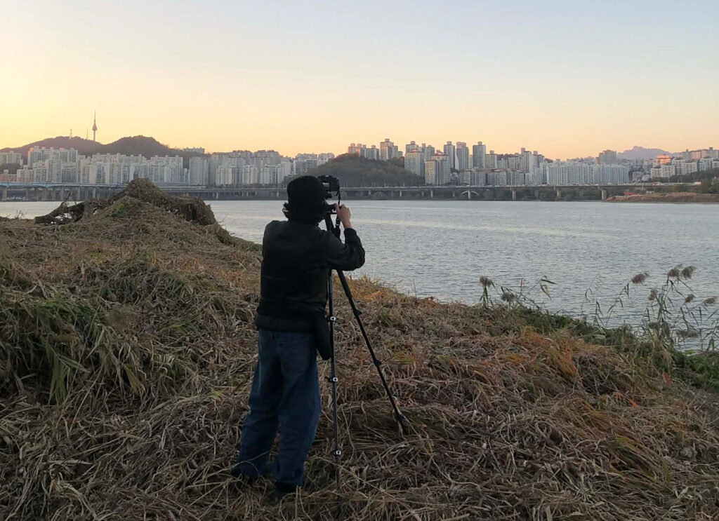 アーティストとひらく　鎌田友介展：ある想像力、ふたつの土地の画像