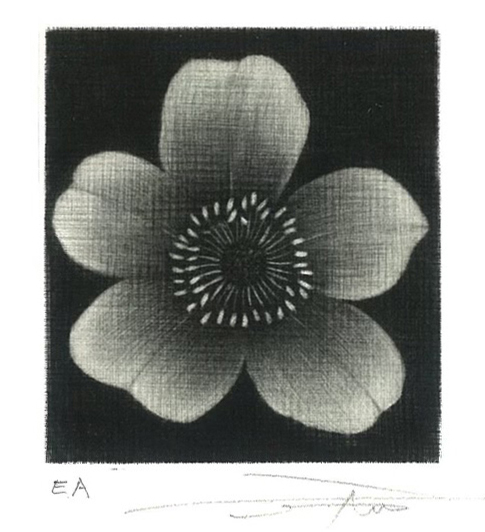 銅版画×インクの関係　知るともっと楽しい！版画シリーズ 2の画像