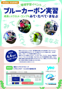 ブルーカーボン実習の画像