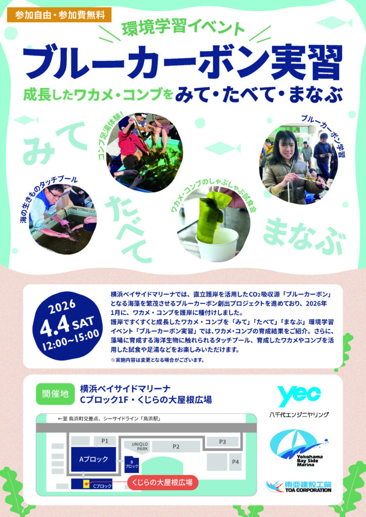 ブルーカーボン実習の画像