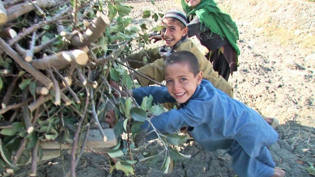 劇場版　荒野に希望の灯をともすの画像
