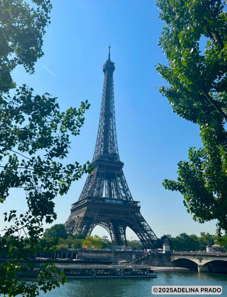 命の声ー言葉のないつながり～フランスから届いた手紙の画像