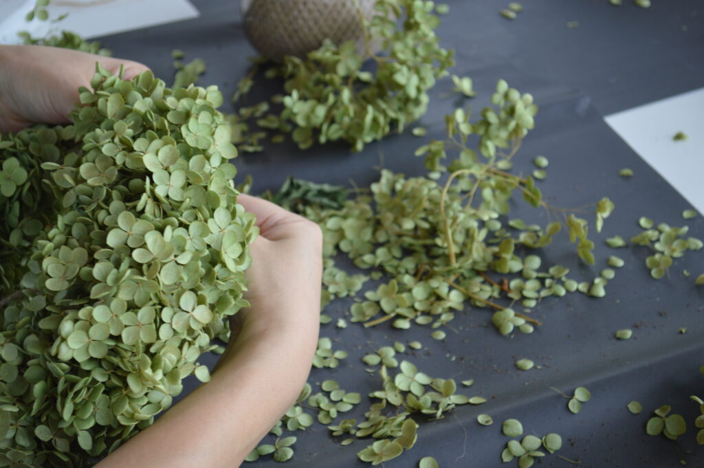 ZOU-SUN-MARCHE -好きを見つける、港のマルシェの画像