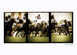 神田壮亮写真展「三連写　Part2」の画像