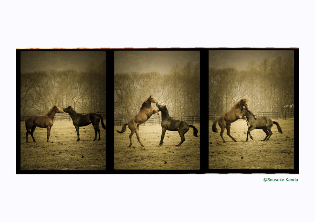 神田壮亮写真展「三連写　Part2」の画像