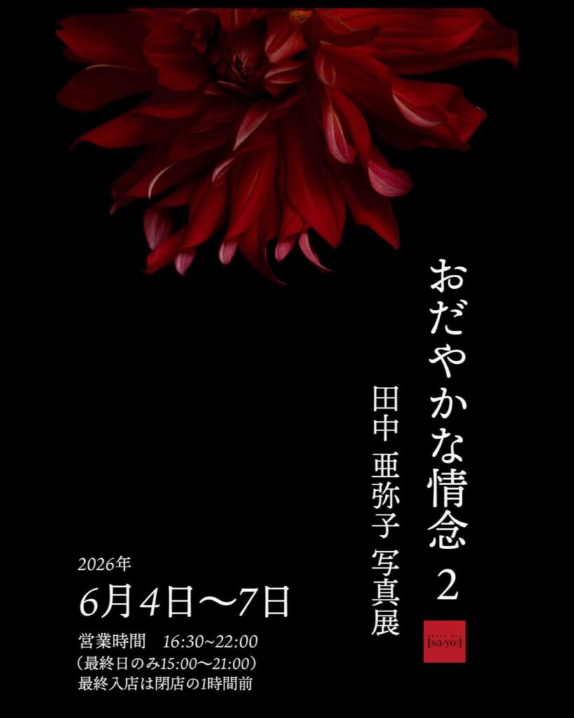 田中亜弥子写真展「おだやかな情念2」の画像