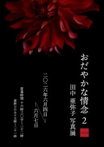 田中亜弥子写真展「おだやかな情念2」の画像