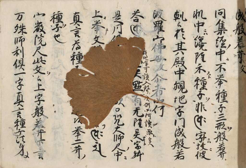 昭和100年記念特別展　昭和と金沢文庫の画像