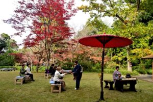 庭園広場で野点を楽しむ薄茶席の様子