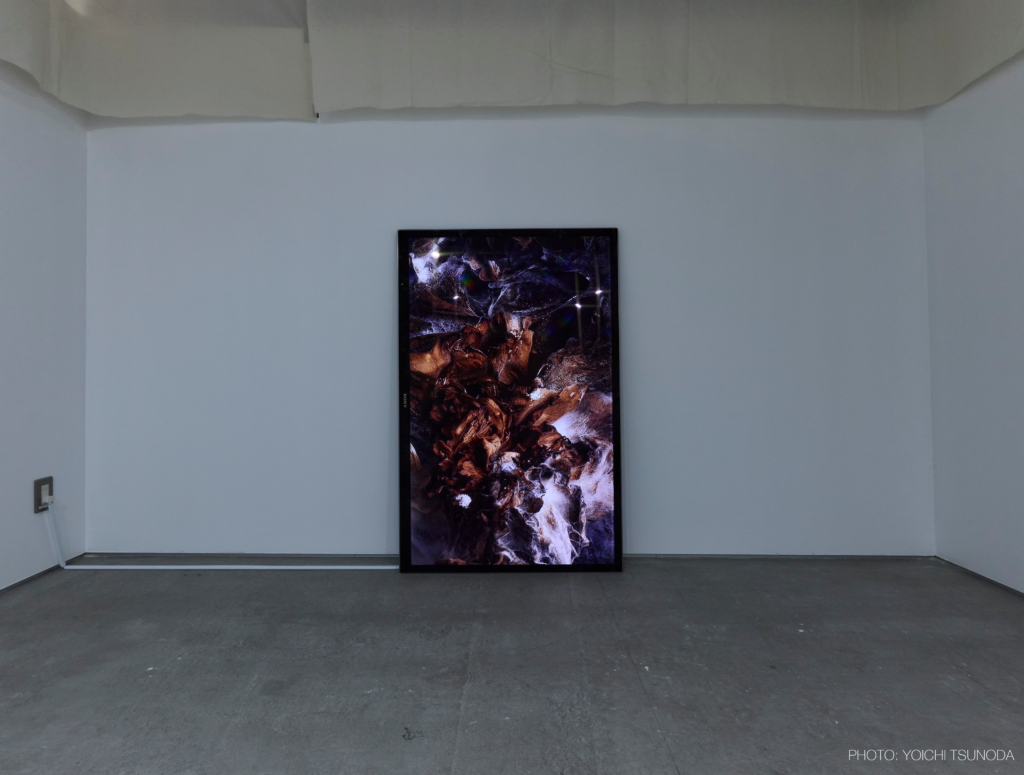 Я gallery 1st Exhibition《Circle to Circle》by Mikiko Kamadaの画像